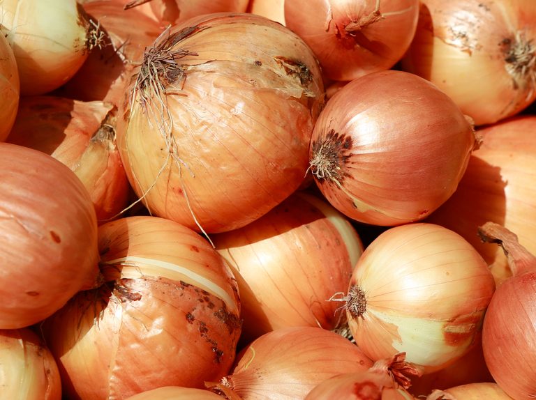 (Reg) Onions