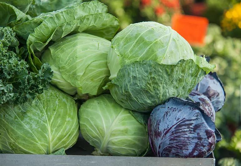 Cabbages